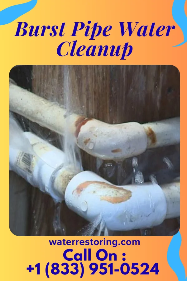 Burst Pipe Water Cleanup in Ocean Shores, WA