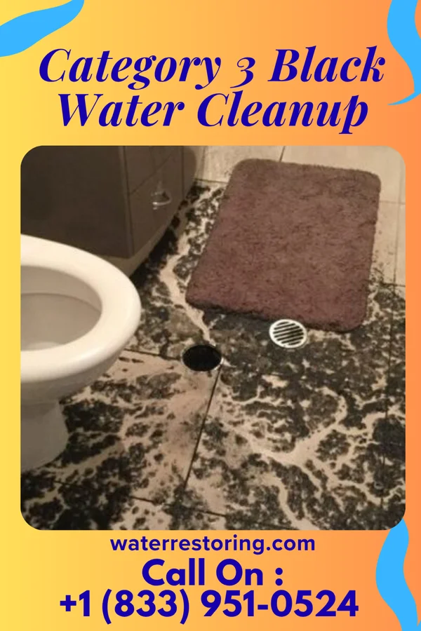 Category 3 Black Water Cleanup in Ocean Shores, WA