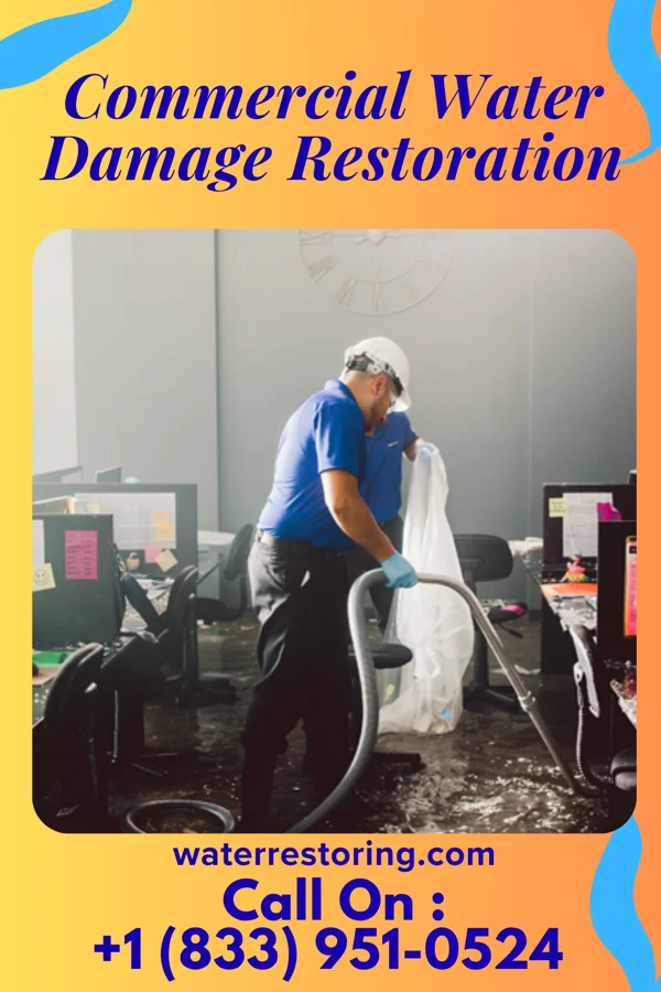 Commercial Water Damage Restoration in Ocean Shores, WA