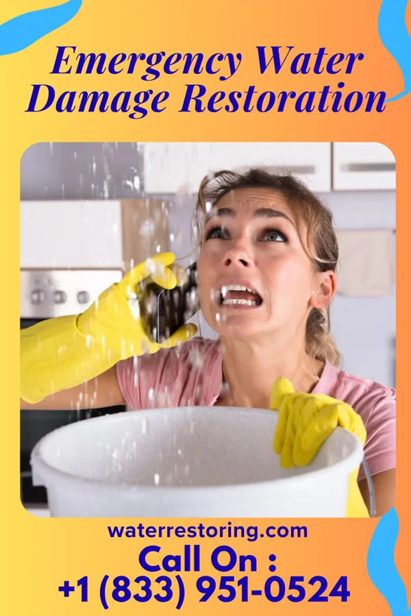 Emergency Water Damage Restoration in Ocean Shores, WA