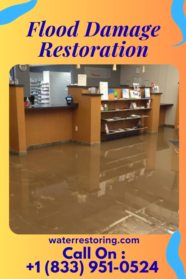 Flood Damage Restoration in Ocean Shores, WA