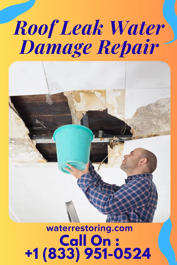 Roof Leak Water Damage Repair in Ocean Shores, WA