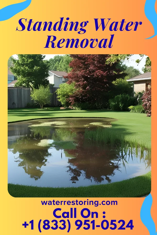 Standing Water Removal in Ocean Shores, WA